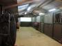 Bunkers-Hill-Livery-and-Training
