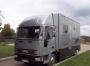 Ford-Iveco-Horsebox-FOR-2-3-HORSES-day-area-1995