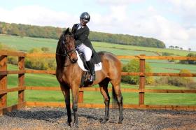 Full-Livery-Yard-Manor-Farm-Equestrian-Centre