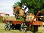 14.2hh Chestnut Gelding 