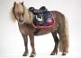 Horse-Riding-Equipment-in-West-SussexUK