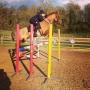 Novice WHP / Small Eventer 