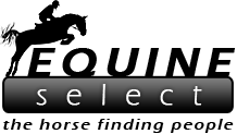 Equine Select - the horse finding people